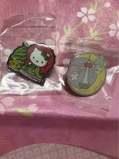 サンリオキャラクターご当地ピンズコレクション　キティ&キキララ