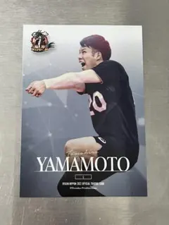 龍神NIPPON バレーボール 山本智大選手 カード
