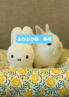 あかあか様　専用