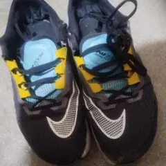 Item thumbnail for item f0f419b5-2665-4245-8cc6-57b8ba355fa4