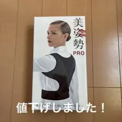 La-VIE 美姿勢 PRO