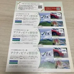 日本駐車場開発 株主優待 3枚 クーポン アクティビティ割引券 スキー NPD