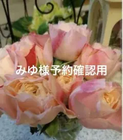 バラ苗 イブ購入前にコメント - メルカリ