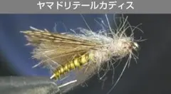 Item thumbnail for item 3122924f-9a7e-460d-9e46-7c6569675a01