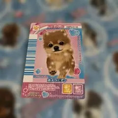 2026年最新】ワンタメカードの人気アイテム - メルカリ