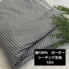 Item thumbnail for item 46233a67-b1e7-4287-bbe3-eab9f1e9b2fb