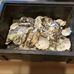 特大牡蠣殻 広島県産 9キロ 水槽用ろ過材 園芸 - メルカリ