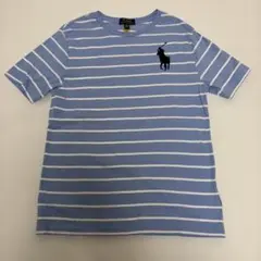 Polo Ralph Lauren ストライプTシャツ L/G