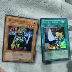 2026年最新】異次元の女戦士 シークレットの人気アイテム - メルカリ