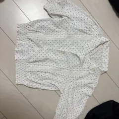 Item thumbnail for item 2b9427cb-1454-4332-a438-a76d9efd78a7