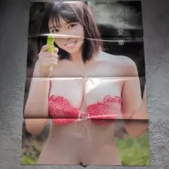 岡田紗佳 等身大ポスター エンタメ 役満ボディー 岡田紗佳 等身大ポスター エンタメ 役満ボディー - メルカリ