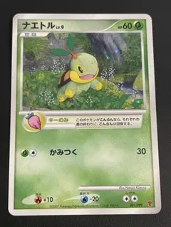 2025年最新】ナエトル 001/PPPの人気アイテム - メルカリ