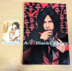 Acid Black Cherry 写真集　美品 2026年最新】Acid Black Cherry写真集の人気アイテム - メルカリ