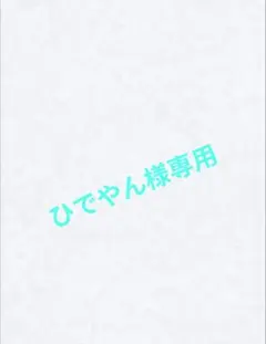 ひでやん様 リクエスト 2点 まとめ商品