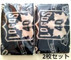 LOGOS 40th Anniversary ブランケット 2枚セット ロゴス