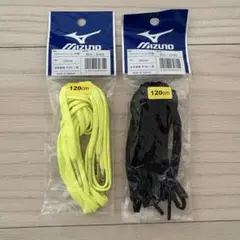 Item thumbnail for item 2898b7e9-baa3-4c84-bdbd-d2b492922008