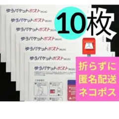 【10枚】即発送◎ ★匿名配送★ ゆうパケットポスト mini ミニ 封筒