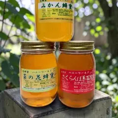 国産百花蜂蜜1200g×2とみかん蜂蜜1200g - メルカリ