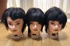 【限定値下げ】カットウィッグ 3体セット 美容師練習用