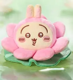 プルャハ様 リクエスト 2点 まとめ商品