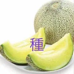 yuki様 リクエスト 2点 まとめ商品