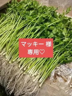 マッキー 様 専用(*^^*)