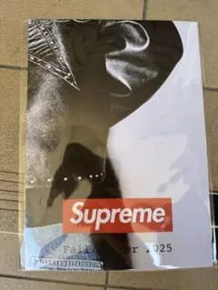 Supreme Fall/Winter 2025 カタログ