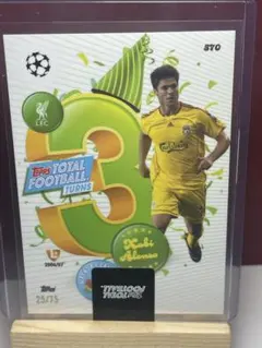 Item thumbnail for item 10c7d0d6-b0df-4880-8aa3-68ca7d64bb6a