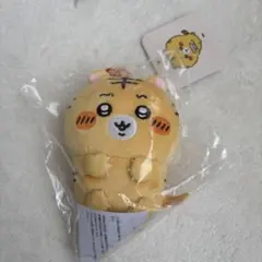 Item thumbnail for item 496f588f-2f52-4f6b-a927-3c04c821aa33