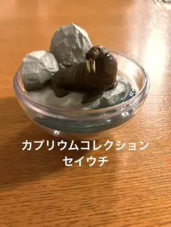 Item thumbnail for item 844f4b69-12ca-408a-8fe5-db0f2d5e3a5c