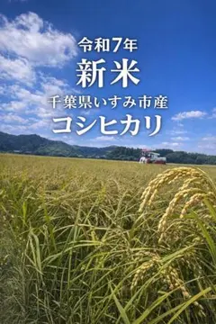 036225様専用 農薬不使用コシヒカリ天日干し 玄米10キロ もみすり立て
