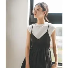 フレンチスリーブシアーラインニット