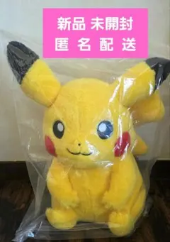 24じかんポケモンchu ピカチュウ ナガノコラボ ぬいぐるみキーホルダー