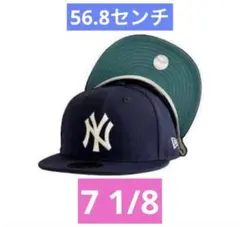 NEW ERA SUN FADED CAP the Apartment限定 - メルカリ