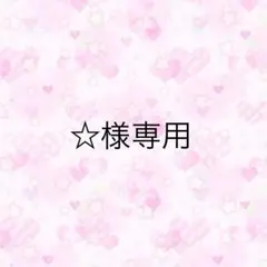 ☆様専用ページ　トレカケースデコ　ミントチョコ