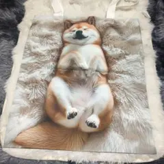 Item thumbnail for item d8035c45-a232-4de5-ac0a-bd2406045da6