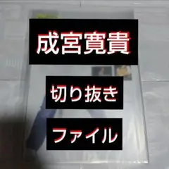【最終値下げ】【貴重】成宮寛貴 切り抜きファイル1冊 雑誌7冊分14枚