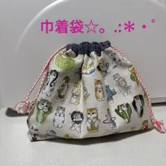 ✳︎お試し価格✳︎【再販】ハンドメイド 巾着袋 ねこちゃん ミント