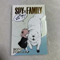 SPY×FAMILY スパイファミリー 箔押しポストカード　アーニャ　ボンド