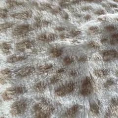 Item thumbnail for item 9b07439a-c749-491d-bfec-e776b09a125b