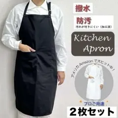 撥水エプロン 2枚セット 防汚加工 ポケット付き 撥水撥油 お手入れ簡単