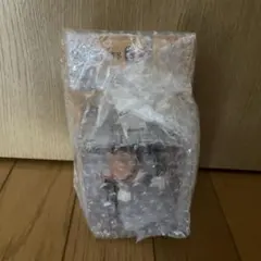 チェジョンヒョプ ファンミーティング グッズ カスタムカメラ トレカ