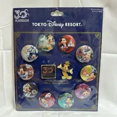 東京ディズニーランド 30周年　缶バッジセット　ピンバッジ付き