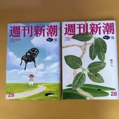 【美品】週刊新潮 2025.7.31日号,2025.7.24日号２冊セット