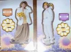 世界 瀬口黎弥アクスタセット