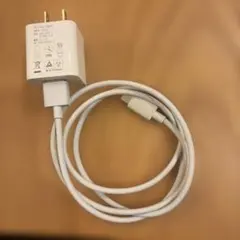 【週末年度末セール】 純正USB電源アダプターとUSB-Cケーブル 1m