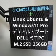 【CMなし動画再生】DELLミニPC 本体＋電源アダプター＋Wi-Fiアンテナ