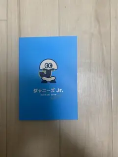 即購入可能　ジュニア名鑑