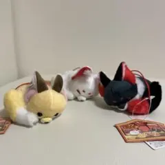 ちょコンとキツネ　ぬいぐるみ マスコット 3種セット