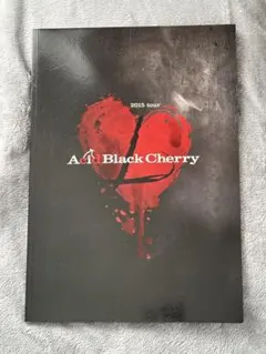2026年最新】Acid Black Cherry パンフレットの人気アイテム - メルカリ